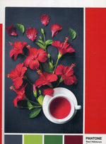 Clementoni, Pantone, Jigsaw Puzzles 1000 pcs