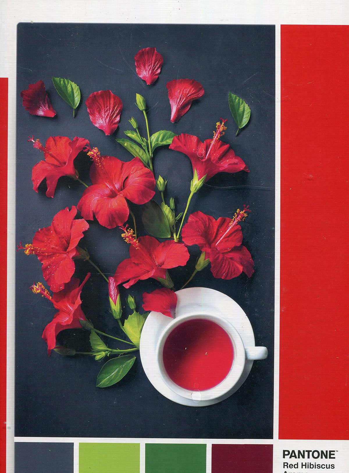 Clementoni, Pantone, Jigsaw Puzzles 1000 pcs